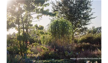 Gartenbaumschule Becker