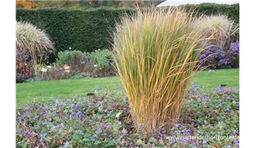 Gartenbaumschule Becker