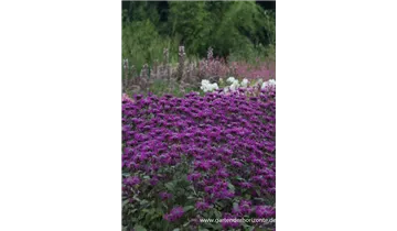 Gartenbaumschule Becker
