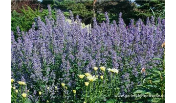 Gartenbaumschule Becker