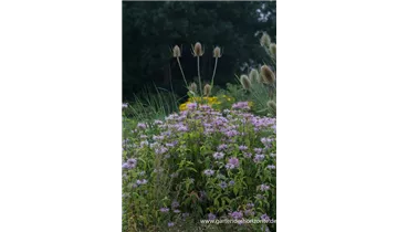 Gartenbaumschule Becker