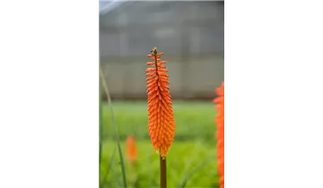 Gartenbaumschule Becker