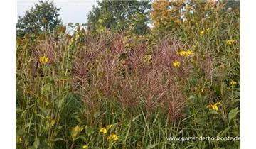 Gartenbaumschule Becker