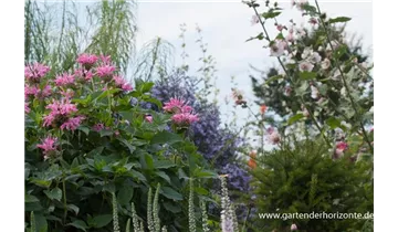 Gartenbaumschule Becker