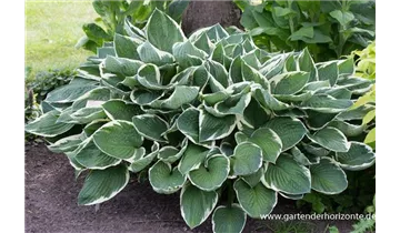 Gartenbaumschule Becker