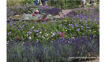 Gartenbaumschule Becker