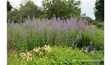 Gartenbaumschule Becker
