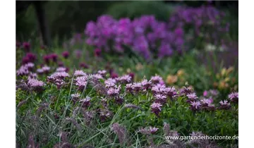 Gartenbaumschule Becker