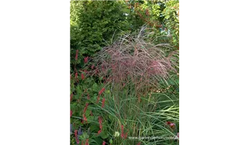 Gartenbaumschule Becker