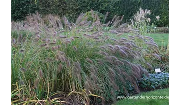 Gartenbaumschule Becker