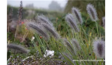 Gartenbaumschule Becker