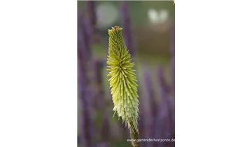 Gartenbaumschule Becker