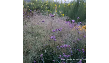 Gartenbaumschule Becker