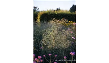 Gartenbaumschule Becker