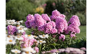 Gartenbaumschule Becker