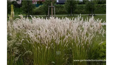 Gartenbaumschule Becker