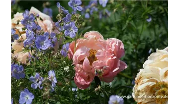 Gartenbaumschule Becker