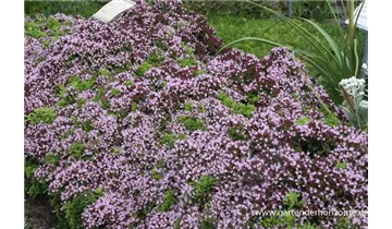 Gartenbaumschule Becker