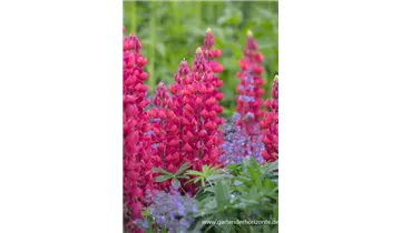 Gartenbaumschule Becker