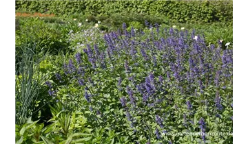 Gartenbaumschule Becker