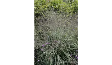 Gartenbaumschule Becker