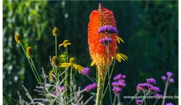 Gartenbaumschule Becker