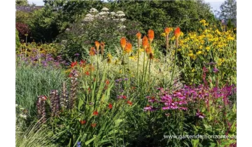Gartenbaumschule Becker