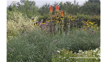 Gartenbaumschule Becker