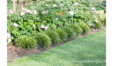 Gartenbaumschule Becker