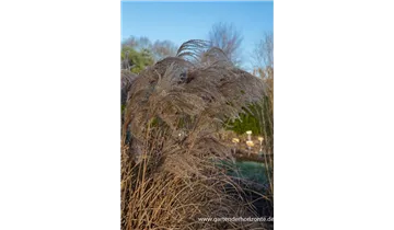 Gartenbaumschule Becker