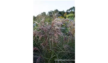 Gartenbaumschule Becker