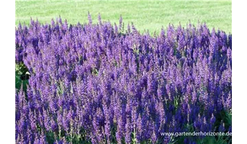 Gartenbaumschule Becker