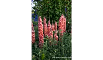 Gartenbaumschule Becker