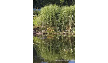 Gartenbaumschule Becker