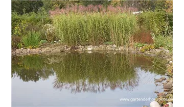 Gartenbaumschule Becker