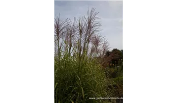 Gartenbaumschule Becker