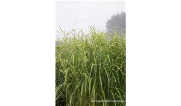 Gartenbaumschule Becker