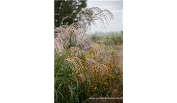 Gartenbaumschule Becker