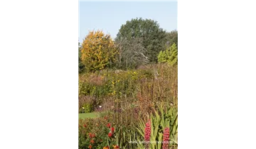 Gartenbaumschule Becker