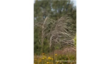 Gartenbaumschule Becker