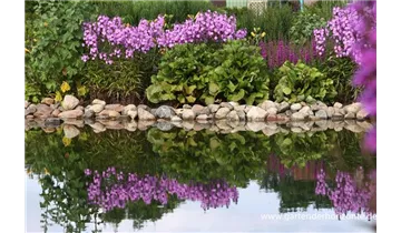 Gartenbaumschule Becker