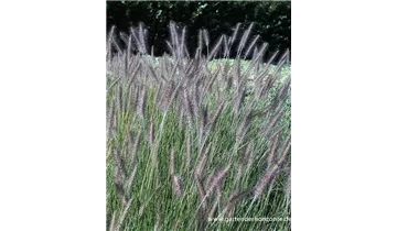 Gartenbaumschule Becker