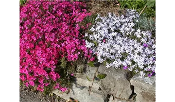 Gartenbaumschule Becker