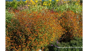 Gartenbaumschule Becker