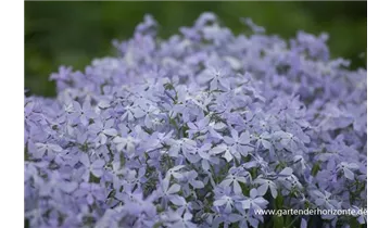 Gartenbaumschule Becker
