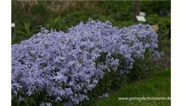 Gartenbaumschule Becker