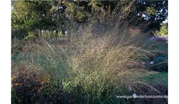 Gartenbaumschule Becker