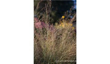 Gartenbaumschule Becker