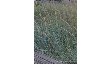 Gartenbaumschule Becker