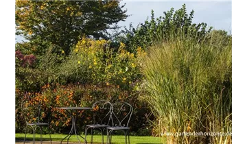 Gartenbaumschule Becker